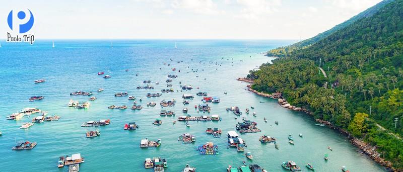Du khách lặn ngắm san hô và khám phá vẻ đẹp dưới lòng biển Hòn Sơn Kiên Giang với những rạn san hô đầy màu sắc.